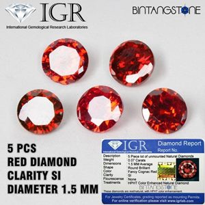 Diamond Red Diamond Eropa 5 Pcs Clarity SI 1.5 Mm 0.015 Cts Certified IGR Natural Africa Berlian Merah Asli Sertifikat Memo